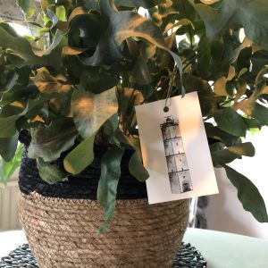 Cadeaulabels Vuurtorens Waddeneilanden