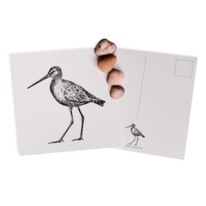 Ansichtkaarten Brandaris Vuurtoren Terschelling (kopie)